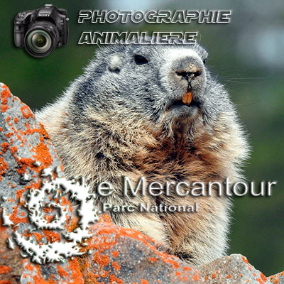 Vie quotidienne